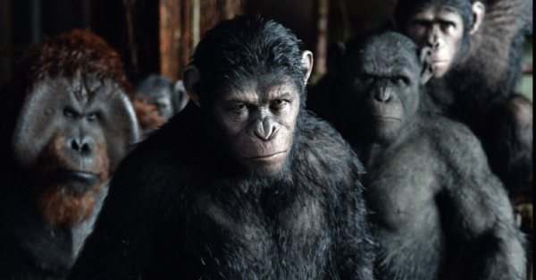 Dawn of The Planet of The Apes